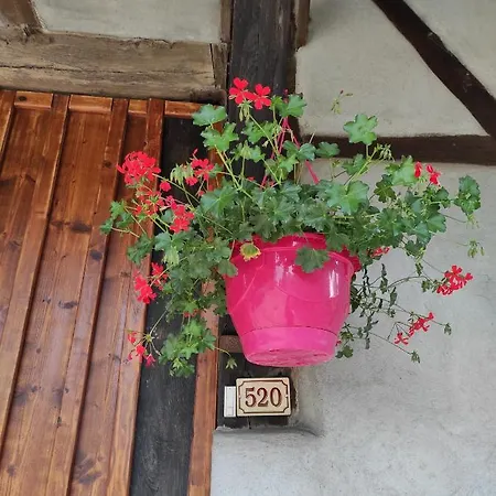 De Peupliers Apartamento