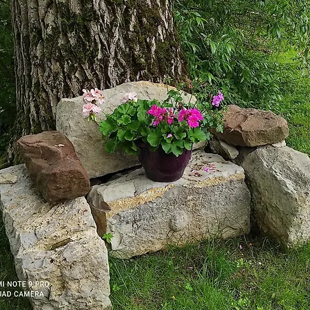 Appartement De Peupliers *