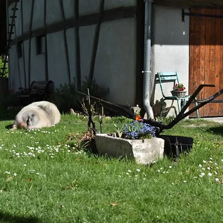De Peupliers Appartement