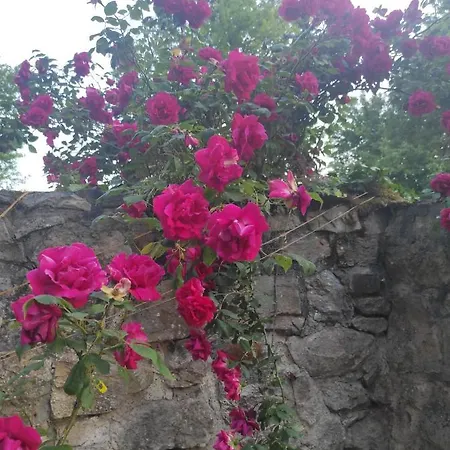 De Peupliers Valdieu