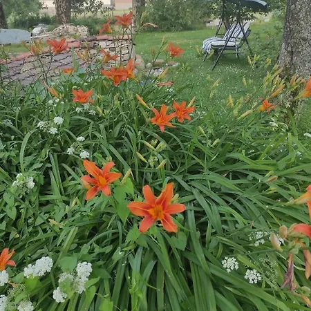 De Peupliers Appartement *