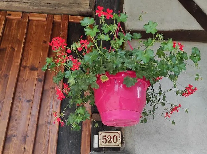 De Peupliers Apartament