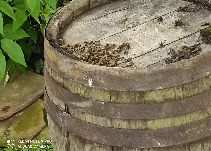 De Peupliers Apartament Valdieu